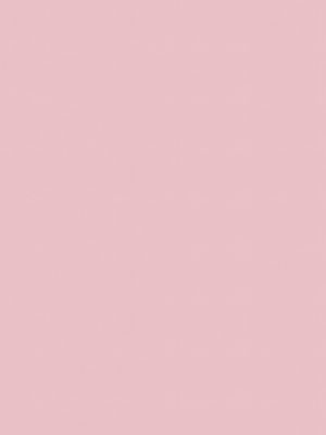 Alexa Pink Roller Blind