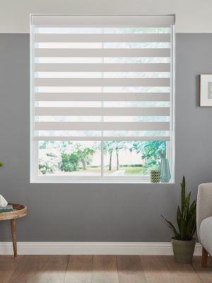 Zenith Ash Day & Night Blinds