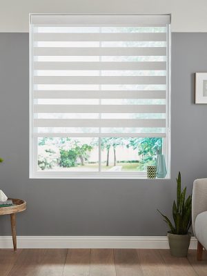 Liden Silver Day & Night Blinds
