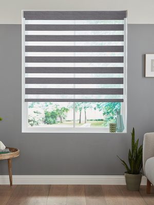 Liden Charcoal Day & Night Blinds
