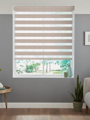 Echo Ash Day & Night Blinds